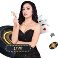  ความเข้ากันได้ทางเทคนิค